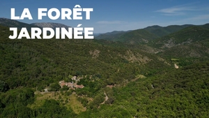 Vidéo reportage La Voie Paysanne