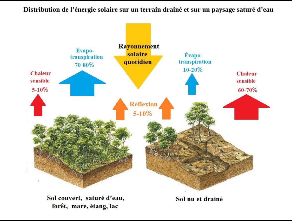 Distribution de l'énergie solaire